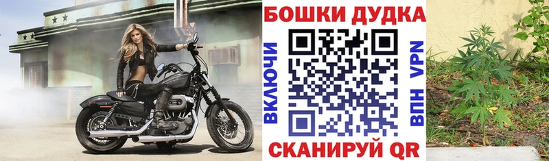 Как найти наркотики Курган СК COCAIN БУТИРАТ Каннабис МЕГА сайт АМФЕТАМИН ГАШ
