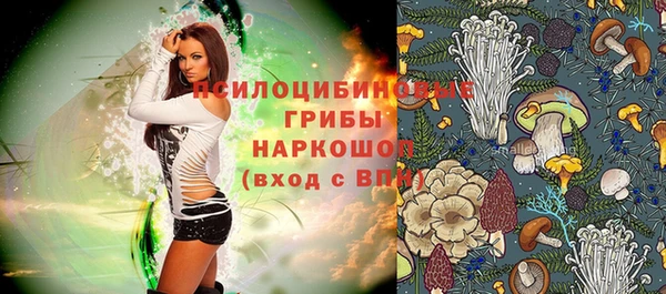 твердый Алексеевка