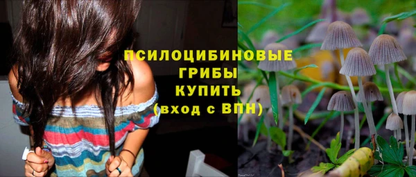 твердый Алексеевка