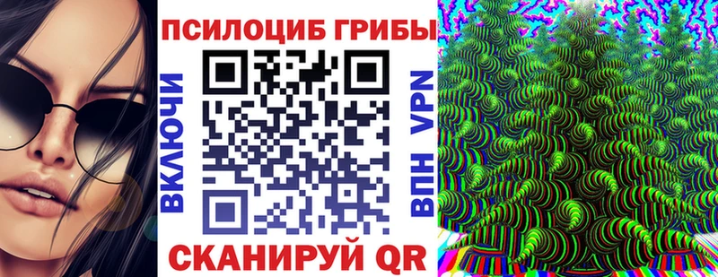 Галлюциногенные грибы Psilocybine cubensis  Курган 
